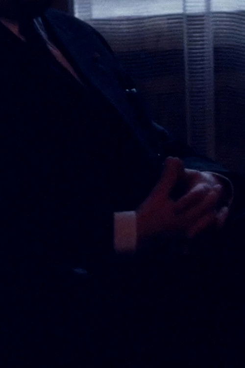 Prosopographia (1976) poster