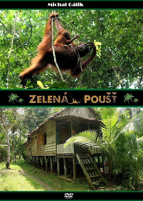 Green Desert (2012) poster