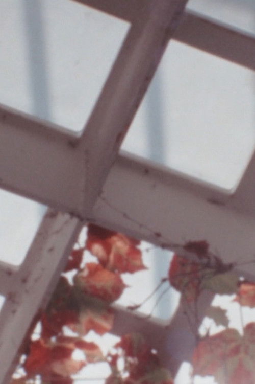 Return to Forms (2016) poster