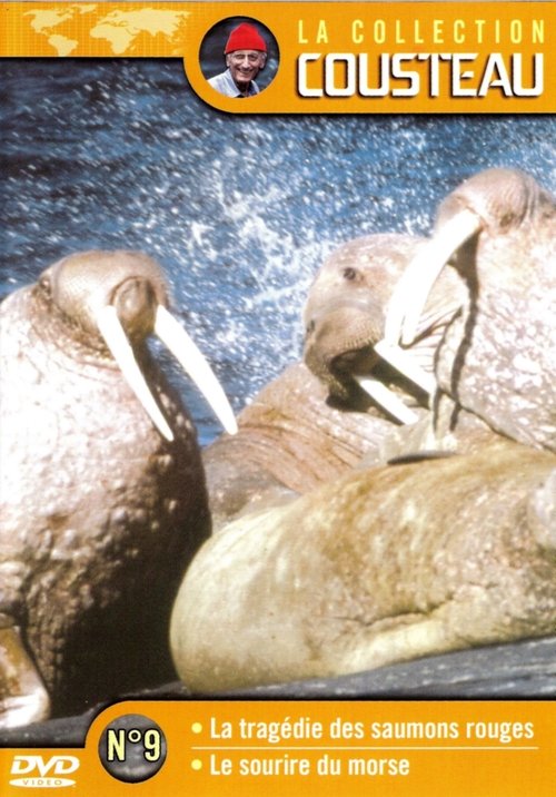 The Cousteau Collection N°9-2 | Morse's Smile (1973) poster