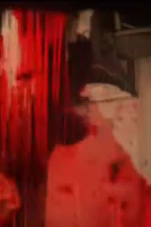 La brecha (2011) poster