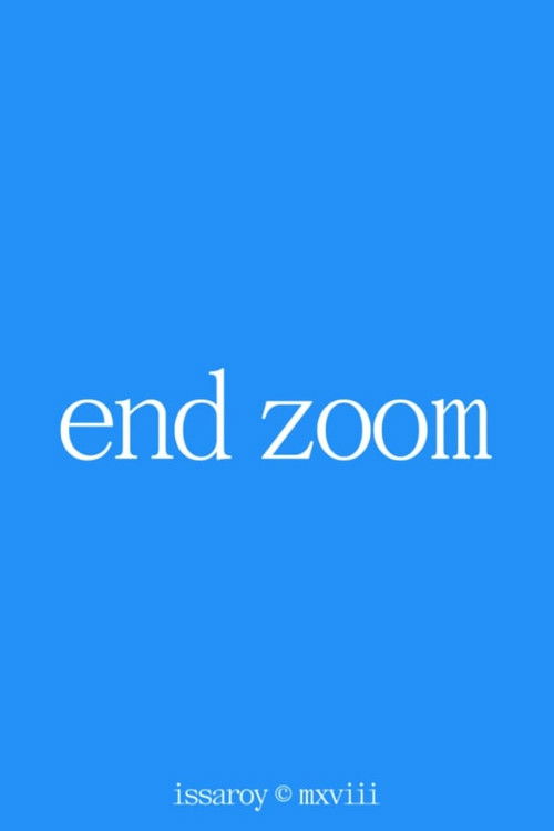 End Zoom (2020) poster