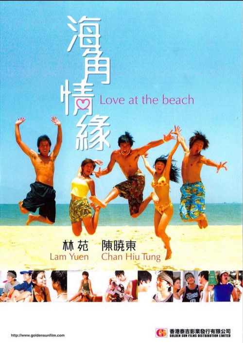 love at the beach (2004) poster