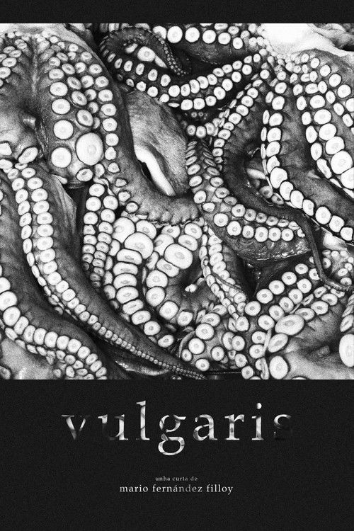 Vulgaris (2021) poster