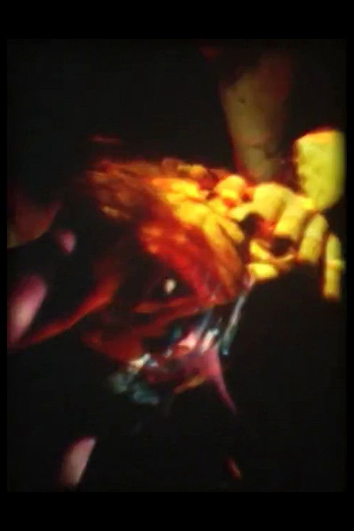 Bételgeuse (2004) poster