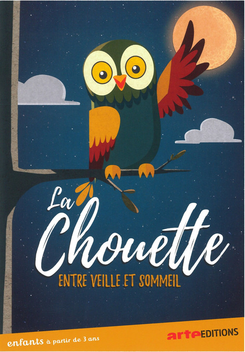La chouette du cinema, entre veille et sommeil (2016) poster