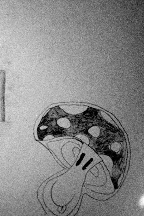 Shadow Codex (2021) poster