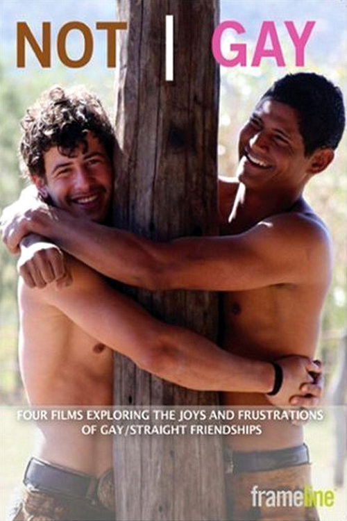 Not Gay (2008) poster