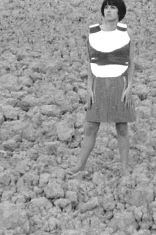 Terra animata (1967) poster