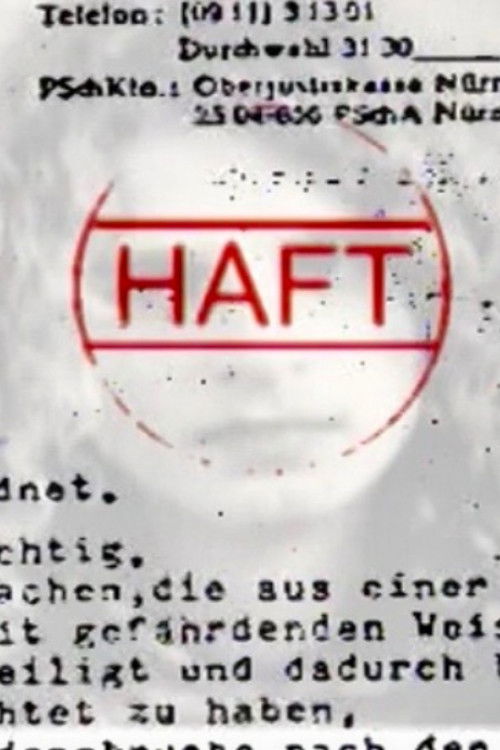 Völlig ausgeliefert - Die KOMM-Massenverhaftung (2011) poster