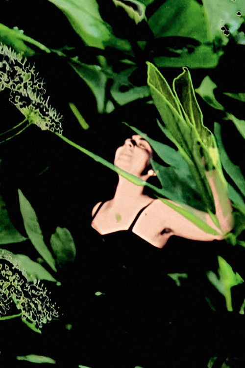 Birth of the Alseides (2011) poster