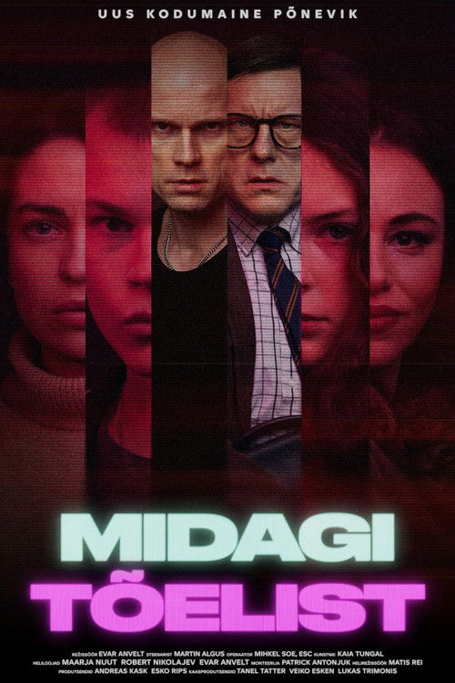 Midagi tõelist (2026) poster