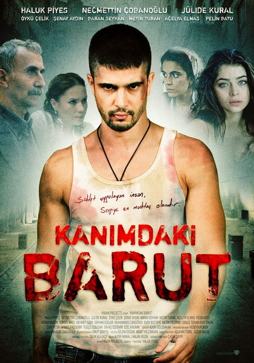 Kanımdaki Barut (2009) poster