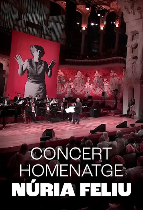 Núria Feliu al Palau (2024) poster