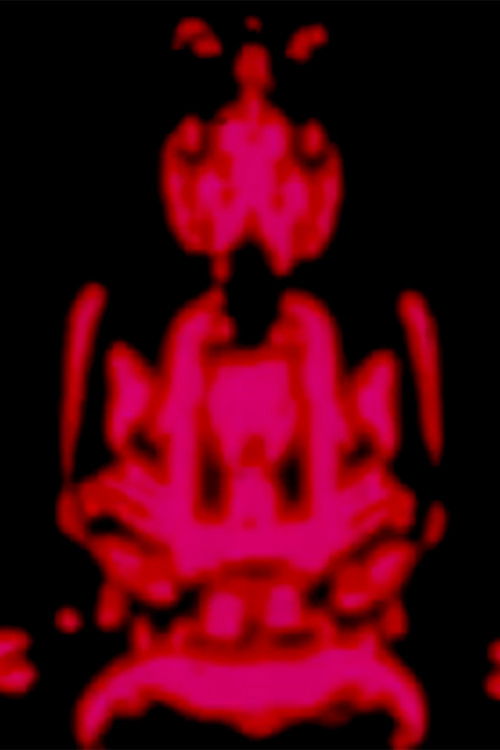 The Star Curtain Tantra (1969) poster