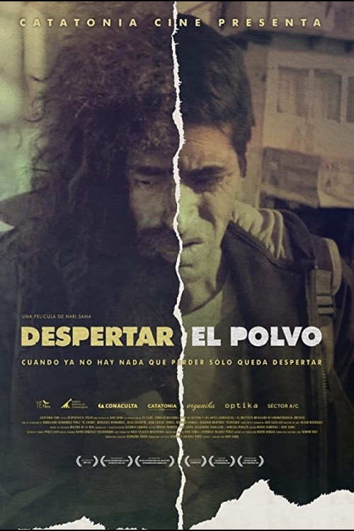 Despertar el Polvo (2013) poster
