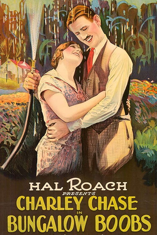 Bungalow Boobs (1924) poster