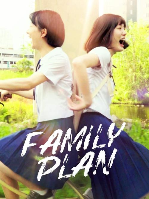 Family Plan (2016) poster