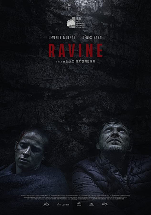 Ravine (2021) poster