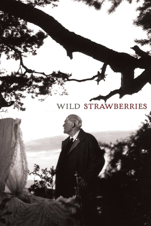Wild Strawberries (1957) poster