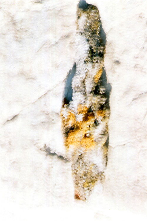 J'écoute l'univers (2021) poster