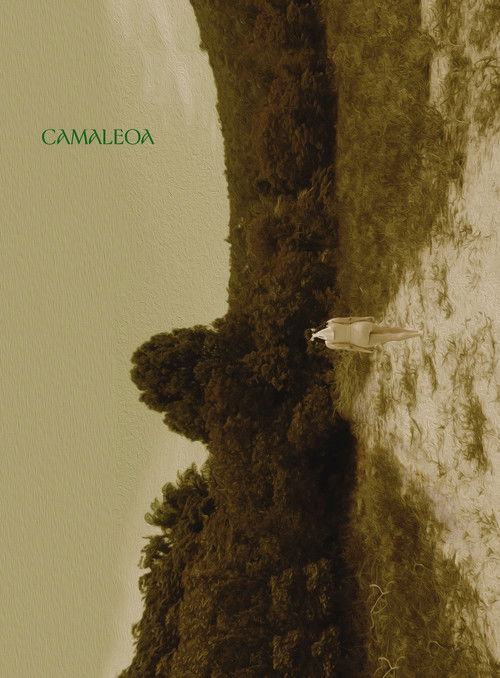 Camaleoa (2023) poster