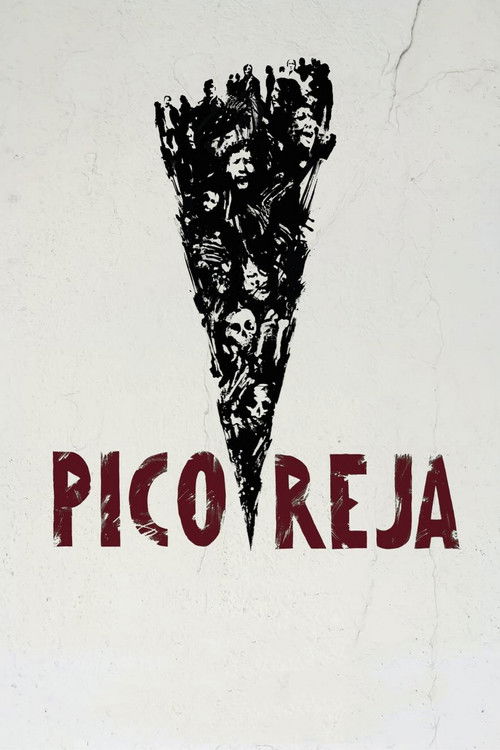 Pico Reja: The Truth Buried Beneath (2022) poster