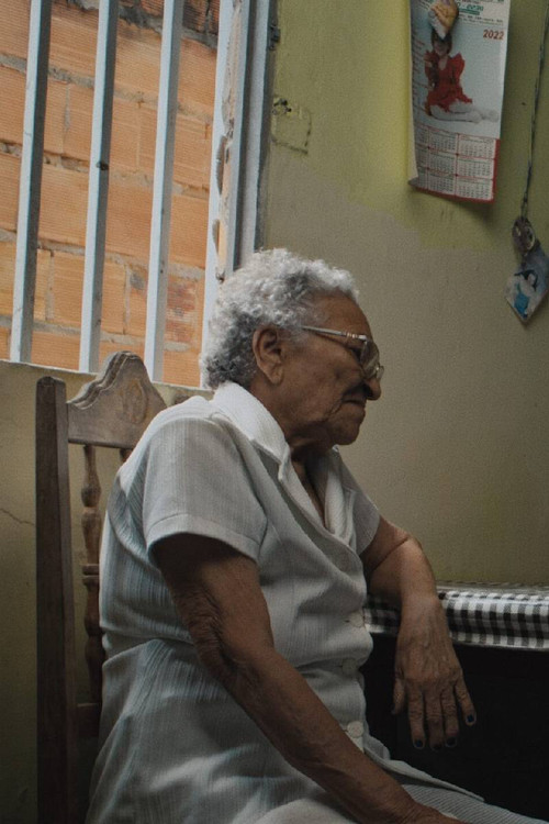 Quem é Essa Mulher? (2024) poster