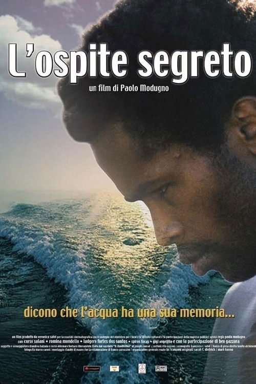 L'ospite segreto (2003) poster