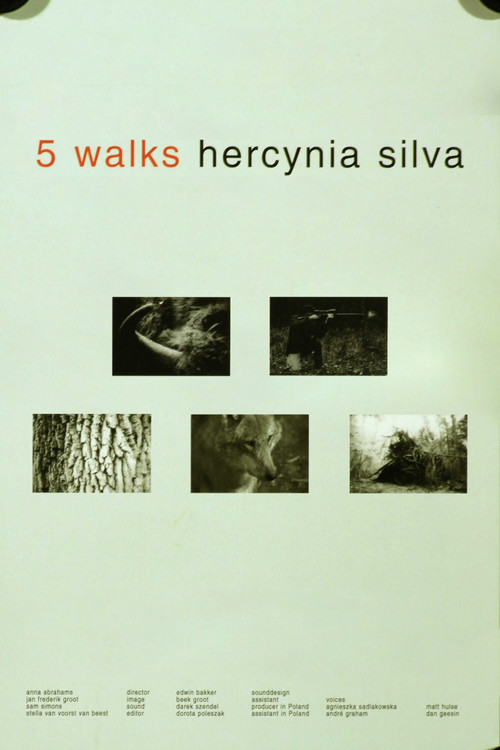 5 Walks. Hercynia Silva (2008) poster