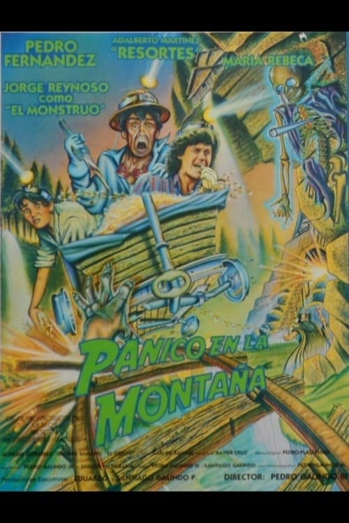 Panic in the Mountain (1989) poster