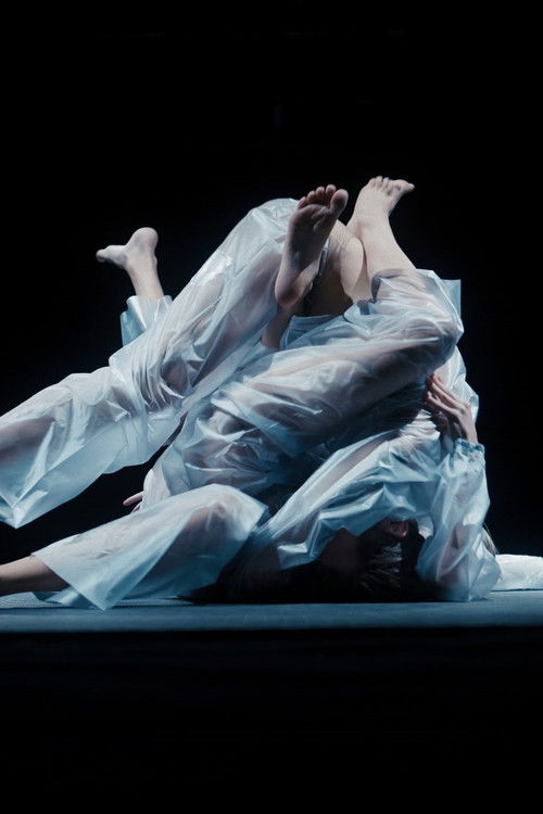 The Meatlump (2022) poster