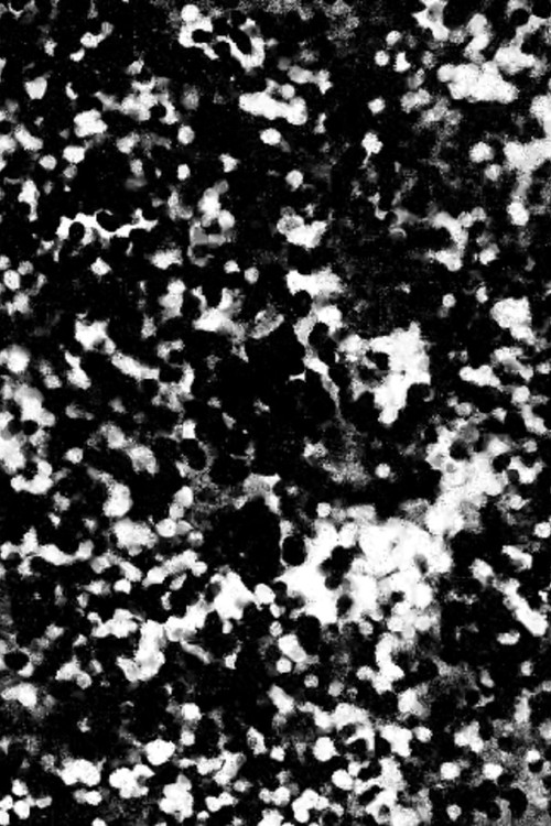 Ramusiana (2017) poster