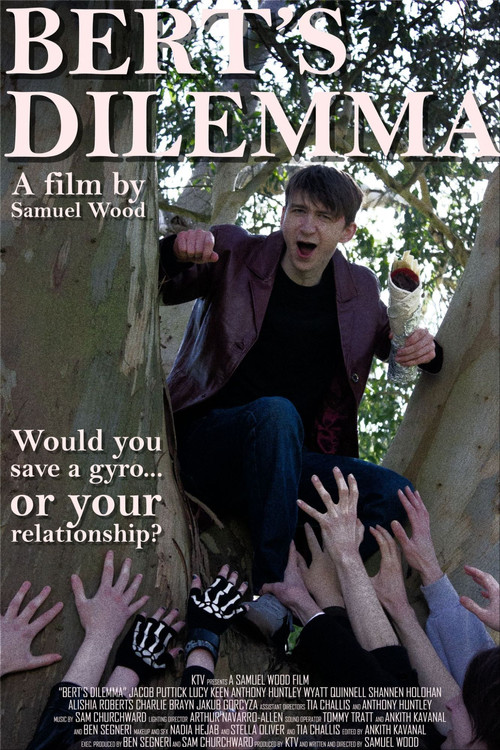 Bert's Dilemma (2026) poster