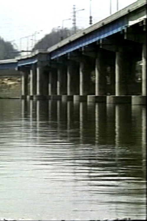 I'm home from School! (1998) poster