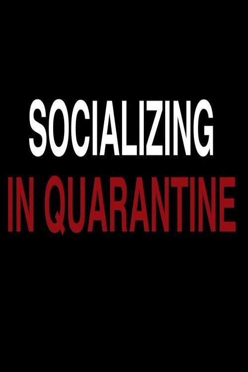Socializing in Quarantine (2020) poster