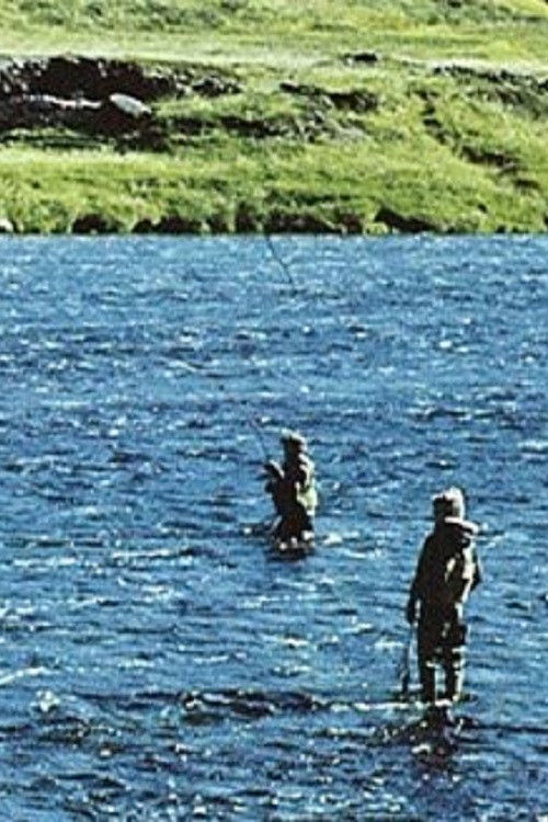 Will There Be Salmon Tomorrow? (1983) poster