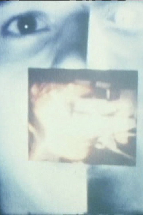 The Screen, Just the Screen (1978) poster