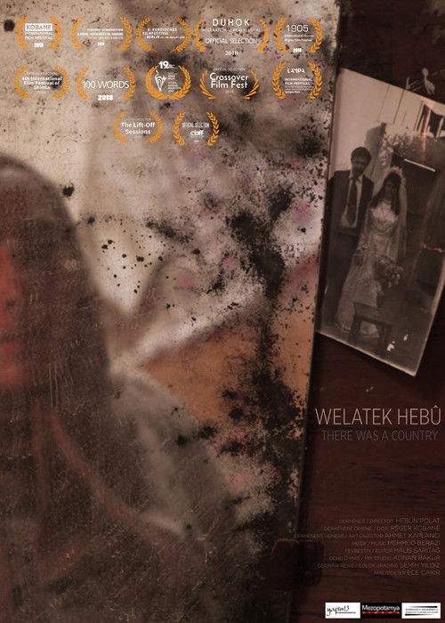 There Was A Country (2018) poster