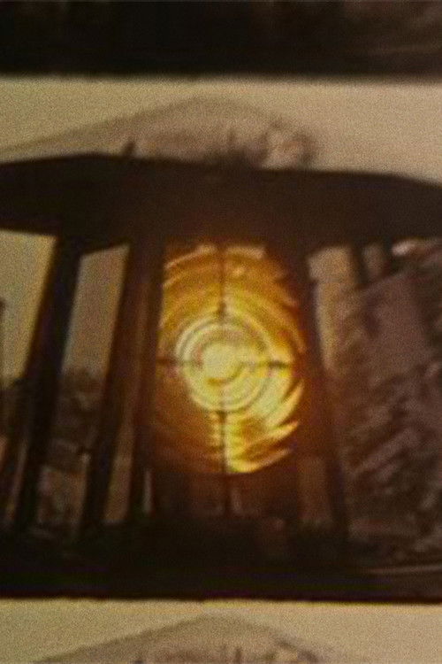 Signals (2024) poster