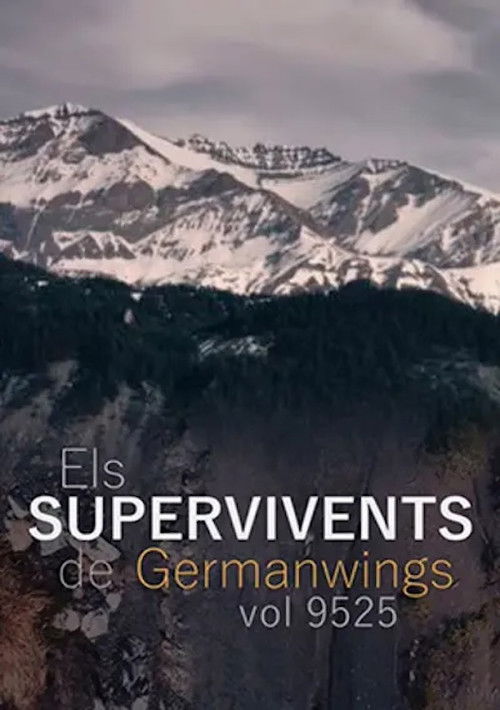 Els supervivents del vol 9525 de Germanwings (2020) poster