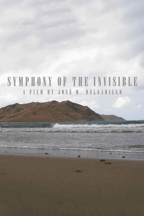 Symphony Of The Invisible (2020) poster