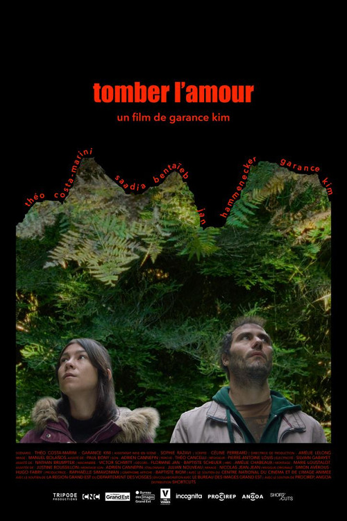 Tomber l'amour (2024) poster