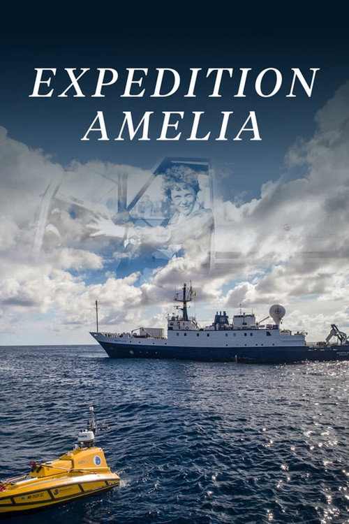 Expedition Amelia (2019) poster