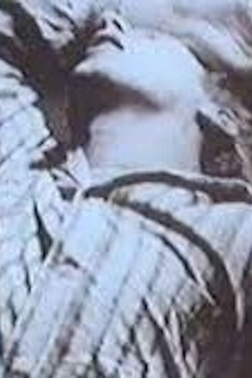 L.S.D. (1966) poster