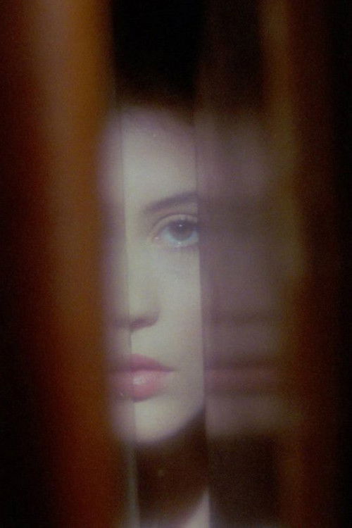 Phantasmagoria of the Interior (2015) poster