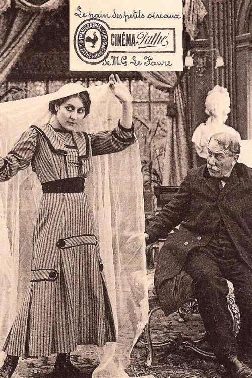 Bread for the Birds (1911) poster