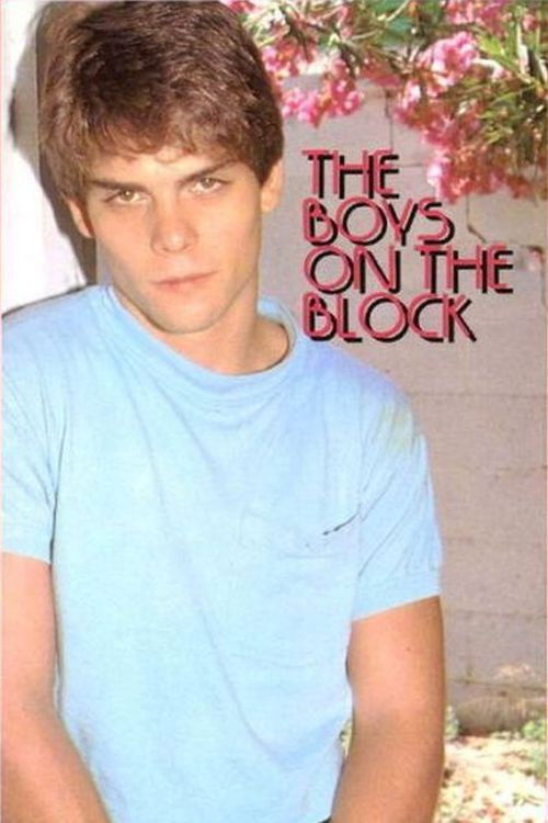 The Boys on the Block (1989) poster