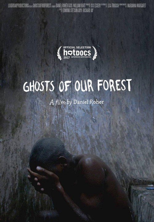 Ghosts of Our Forest (2017) poster