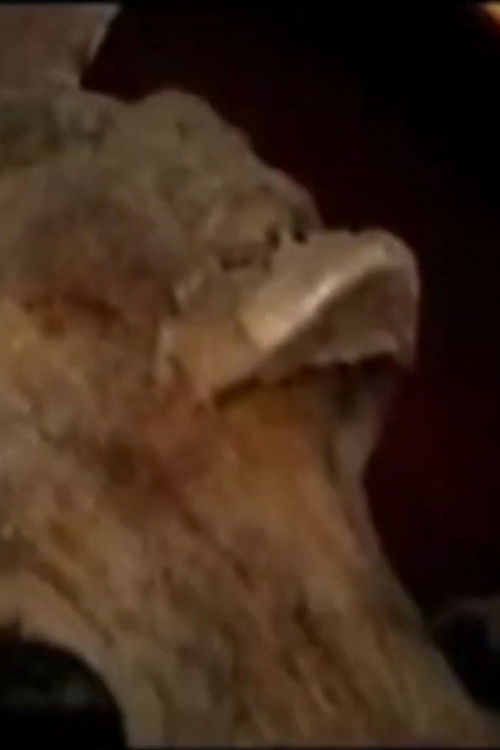 Under Cemetery 2: Guanajuato (1999) poster